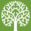 Sage Tree