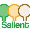 Salient Landscaping