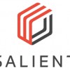 Salient Systems
