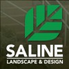 Saline Landscape
