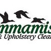 Sammamish Carpet & Upholstery