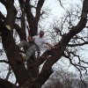 Samuel's Tree Service