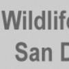 Wildlife Removal San Diego