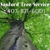 Trinitee Tree & Outdoor Solutions