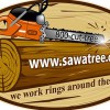 Tree Service Fort Wayne