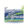 Scenic Expressions