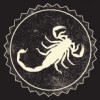 Seal Out Scorpions