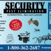 Security Pest Elimination