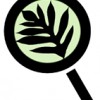 School For Examining Essential Questions Of Sustainability