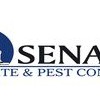 Senate