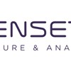Senseta