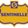 Sentinel Alarm