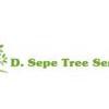 Sepe Tree Service