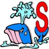 Vet's Septic Service