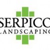 Serpico Landscaping