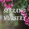 Serrano Nursery