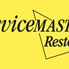 Servicemaster DSI