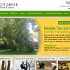 A Cut Above Tree Care