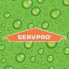 SERVPRO Of Dorchester County