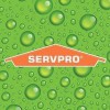 SERVPRO Of South Eugene