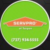 SERVPRO Of Tarpon