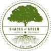 Shade Tree