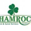 Shamrock Pest & Lawn