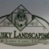 Siberian Husky Landscaping