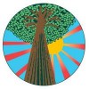 Signature Tree Care