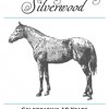 Silverwood Home & Gallery