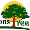 Simmons Tree Care