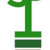 Simply Designed Plant Interior