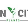 Sin City Plants