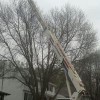 Gardner Tree Service