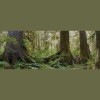 Sitka Projects