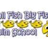 Small Fish Big Fish Swim School