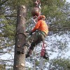 SouthernNHTreeService