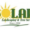 Solar Landscaping & Tree Service