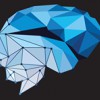 Solaris Technologies