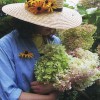 Sollecito Landscaping Nursery