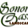 Sonoran Oasis Landscaping