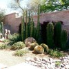 Sonoran Scapes Landscaping