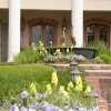 Southern Magnolia Landscaping