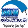 Sparkling Clean Windows