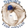 Spears Tree Services