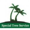 Special Tree Service