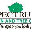 Spectrum Lawn & Tree Care