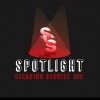 Spotlight Cleaning Services