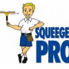 Squeegee Pro