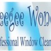 Squeegee Wonders